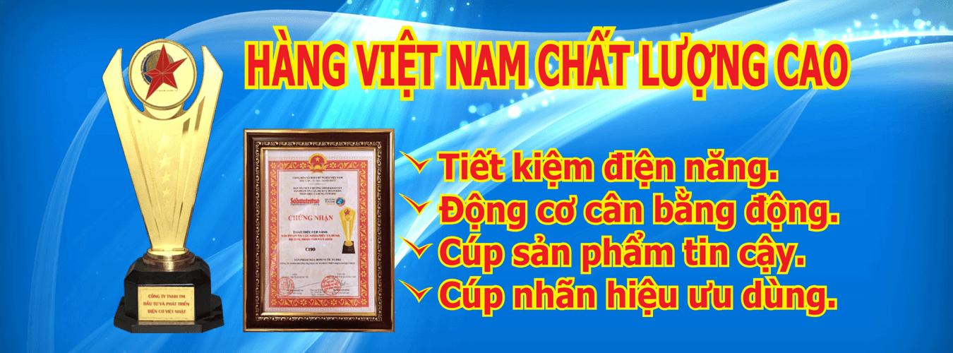 Giá Máy Bơm Nước Chân Không FUZUKI Việt Nhật - 1