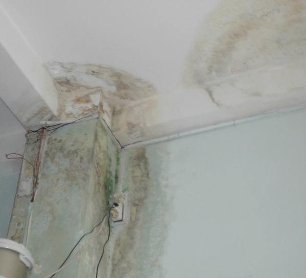 Thợ sửa chữa ống nước bục vỡ rò rỉ trong tường tại Hà Nội